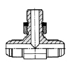 عیاشی