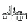 عیاشی